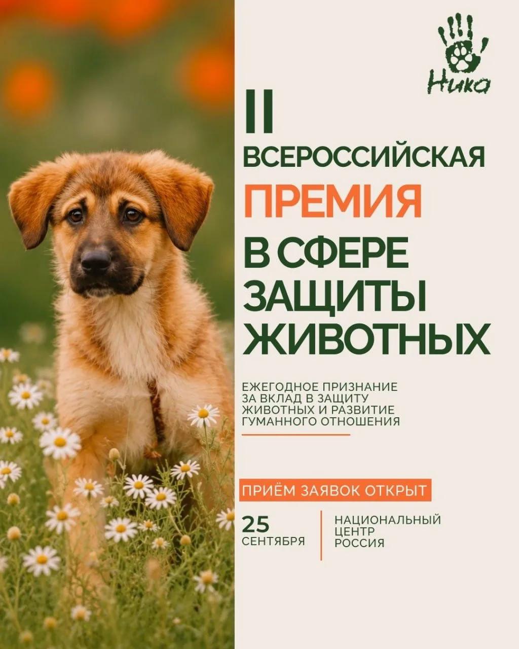 Вторая Всероссийская премия в области защиты животных